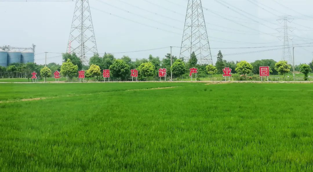 功能農業(yè)：解鎖農業(yè)質量效益提升新路徑 ——協(xié)會、科技與企業(yè)三方圓桌話未來